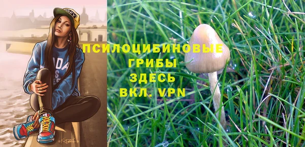 PSILOCYBIN Абаза